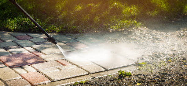 Best Driveway Pressure Washing  in Palm Beach, FL